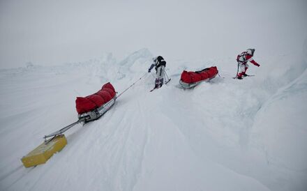 Tornar o mundo melhor dá prémio
