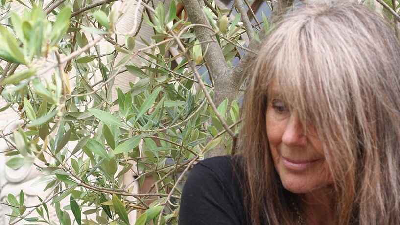 Vashti Bunyan: Círculo fechado