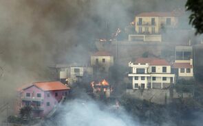 Fogo desce até à cidade do Funchal