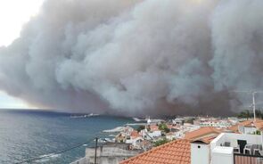 Verdes exigem que se decrete Estado de Calamidade Pública para a Madeira