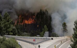 Mais de 2.300 bombeiros e 854 veículos ainda em acção em Pedrógão Grande e Góis