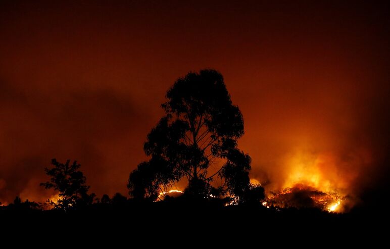 Reuters
