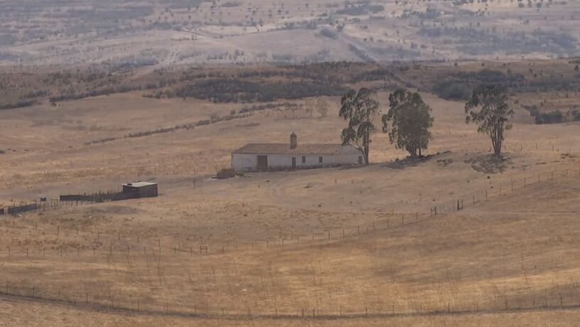 Governo declara 78 concelhos em seca severa extrema