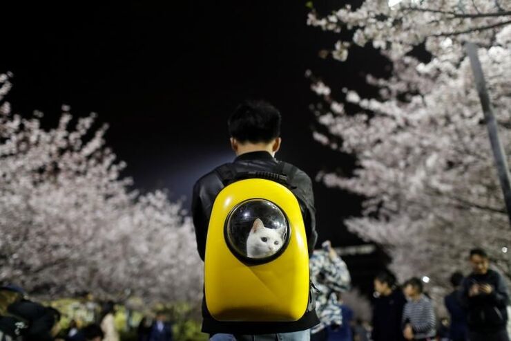 REUTERS/Aly Song