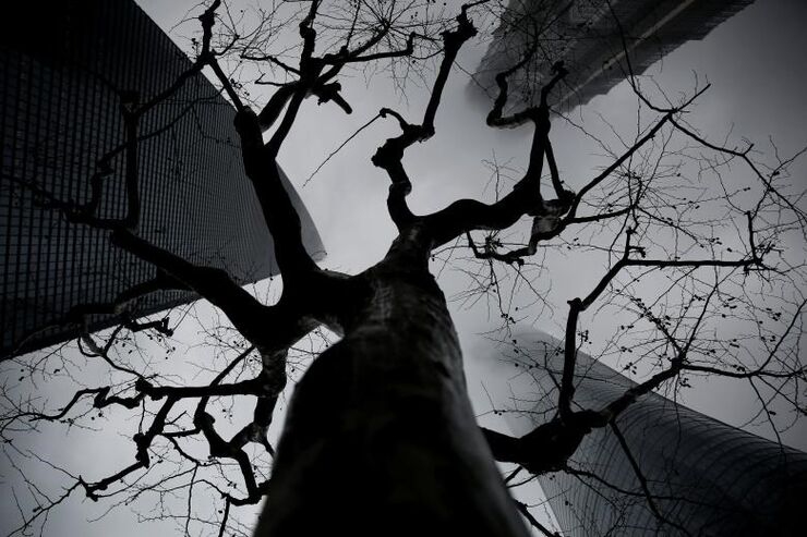 REUTERS/Aly Song