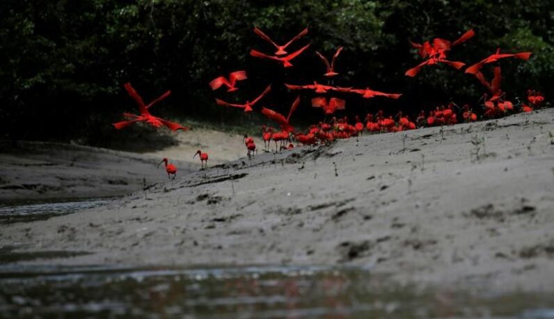 REUTERS/Ricardo Moraes