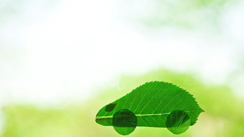 Ambiente agradece hoje porque não pode passar para amanhã