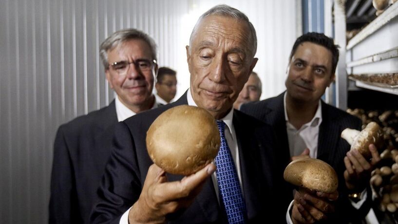 Novo Banco decide futuro do “rei” dos cogumelos em Outubro