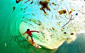 Portugal esgota hoje recursos naturais de 2018 e começa a usar cartão de crédito ambiental