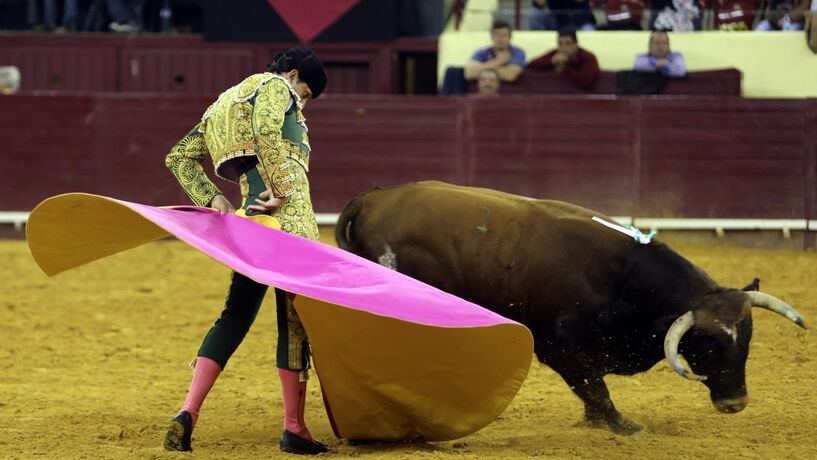 Governo quer subir idade mínima para assistir a touradas