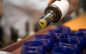 Mega feira virtual quer atrair mais de 50 países e 80 empresas