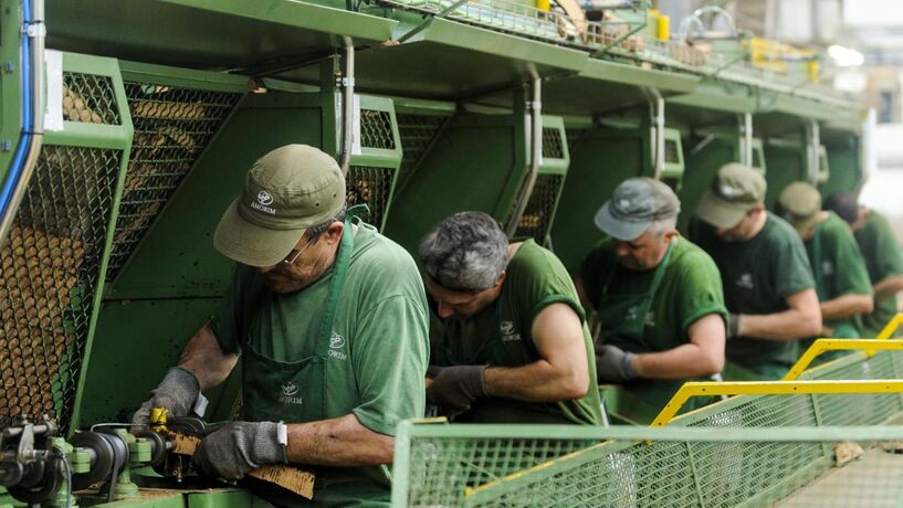 Target da Corticeira sobe para 12 euros