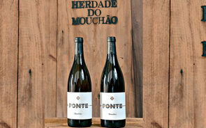 Vamos lá sentir o Mouchão