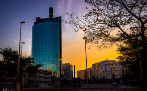 Maia disponibiliza hotel para idosos em lares que passem Natal em família