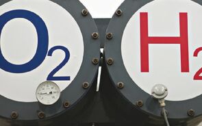 Fórum para a Competitividade critica investimento no hidrogénio verde