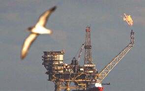 Petróleo recua à espera da OPEP