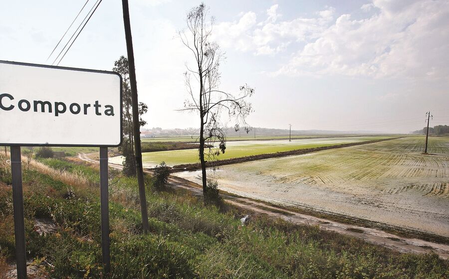 A Vanguard Properties e a Amorim Luxury fecharam a compra da Herdade da Comporta no final do ano passado.