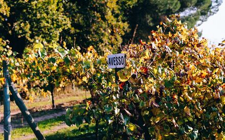 Ao serviço de sua majestade
