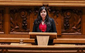 TAP: PAN pede proteção para trabalhadores e 'contrapartidas ambientais'