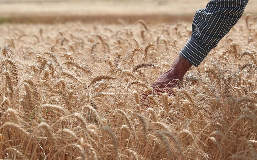 O setor agroalimentar está a ser pressionado por vários lados nos custos, já antecipando a sua repercussão no consumidor.
