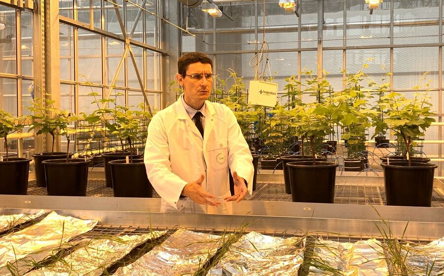 A Timac Agro está a usar algas da Bretanha para criar um conjunto de suplementos capazes de ajudar as culturas a resistirem às alterações climáticas.